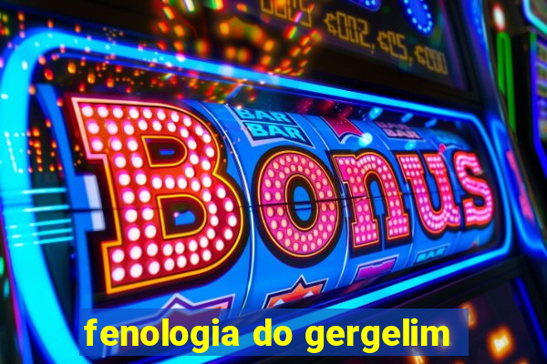 fenologia do gergelim